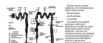 Диуретики