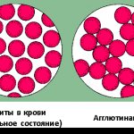 Изображение 1: Определение группы крови – клиника Семейный доктор