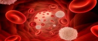 Лейкоциты в крови норма у женщин и таблица по возрасту