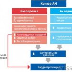 Механизм действия препарата