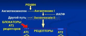 Механизм действия препаратов