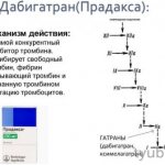 Механизм действия средства