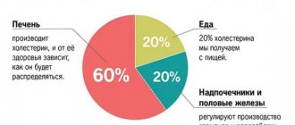 Можно ли есть картофель при повышенном холестерине