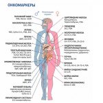 Онкомаркеры 3