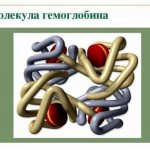 Повышается ли гемоглобин при употреблении красной икры, как ее выбрать и как употреблять?