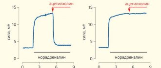 Рис. 1. Кривые, иллюстрирующие эксперименты на двух сегментах мелкой артерии, приносящей кровь к коже задней конечности мыши («Природа» №9, 2014)