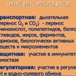 РОЭ норма в крови у женщин по возрасту. Таблица после 40 лет, оседание, что значит повышенное, причины и лечение