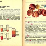 самая редкая группа, определение, совместимость, характер