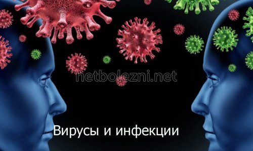 Вирусы и инфекции