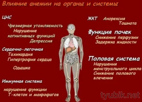 Влияние анемии на органы