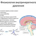 Внутричерепное давление — это давление в синусах мозговой оболочки